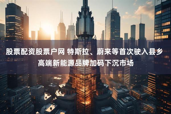股票配资股票户网 特斯拉、蔚来等首次驶入县乡 高端新能源品牌加码下沉市场