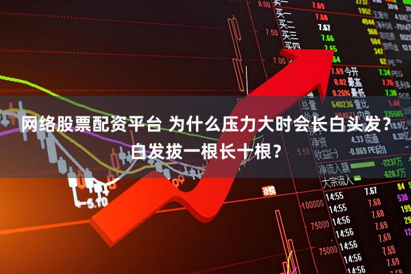 网络股票配资平台 为什么压力大时会长白头发？白发拔一根长十根？