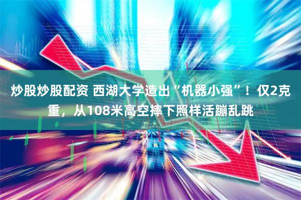 炒股炒股配资 西湖大学造出“机器小强”！仅2克重，从108米高空摔下照样活蹦乱跳