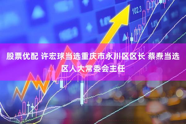 股票优配 许宏球当选重庆市永川区区长 蔡焘当选区人大常委会主任